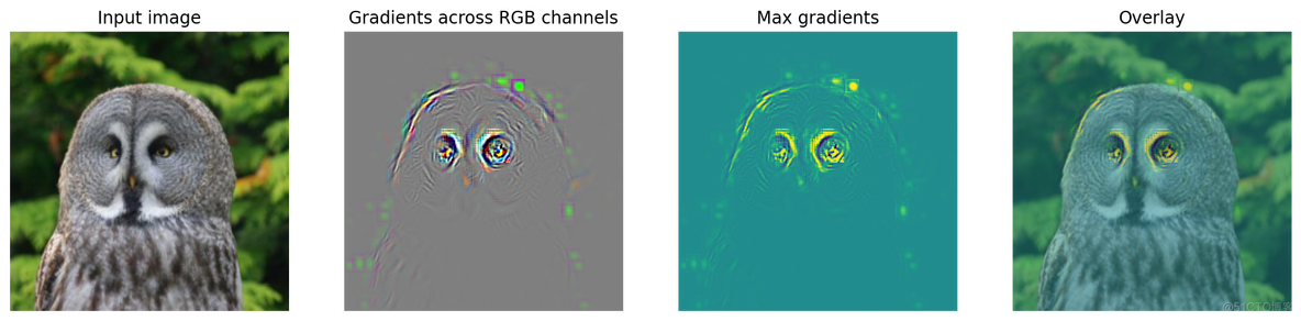 tensorflow pytorch 卷积核初始化 pytorch卷积核可视化_ide_08