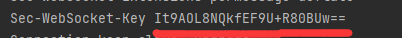 python 实现对sock5测速 python压测websocket_python 实现对sock5测速_05