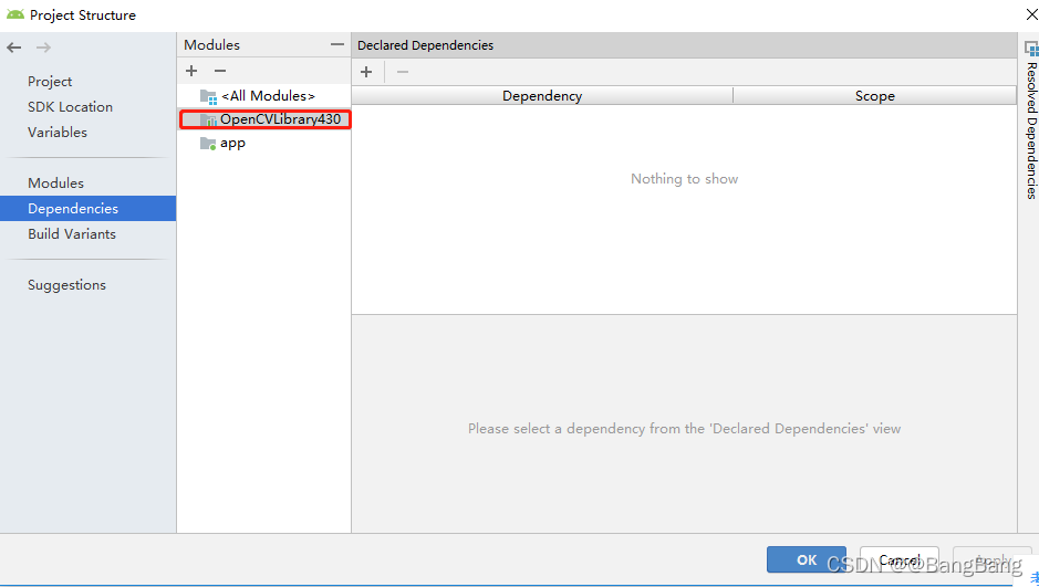 Java 中opencv 拍摄图像dpi参数调节 java配置opencv_xml_11