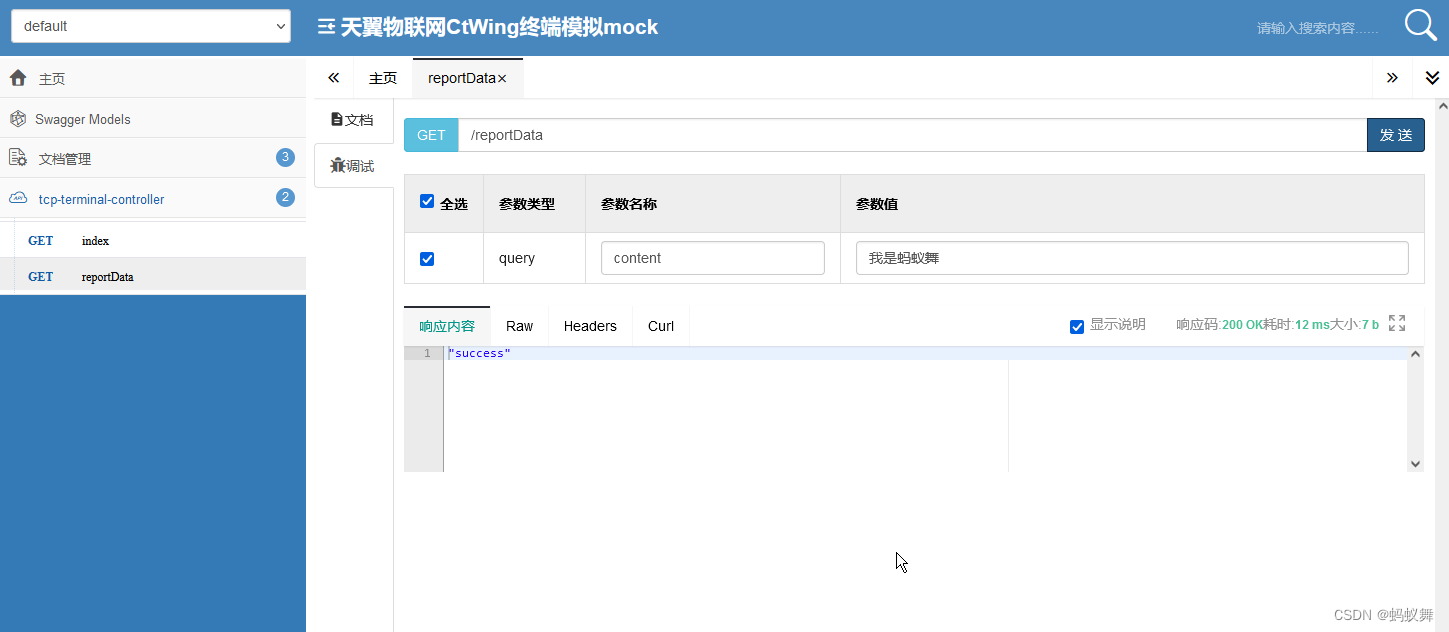 Spring Boot中内置Netty服务器并连接数 springboot netty tcp_CTWing_03