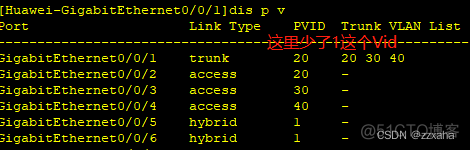 pvid vlanid pvid vlanid tag模拟_华为_06