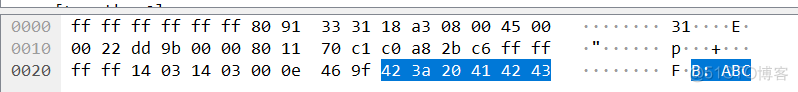 java 网络抓包 分析 分析抓包结果_UDP_05