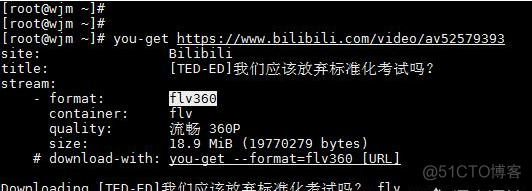 python 下载vip优酷视频 python爬取优酷视频_命令行_02