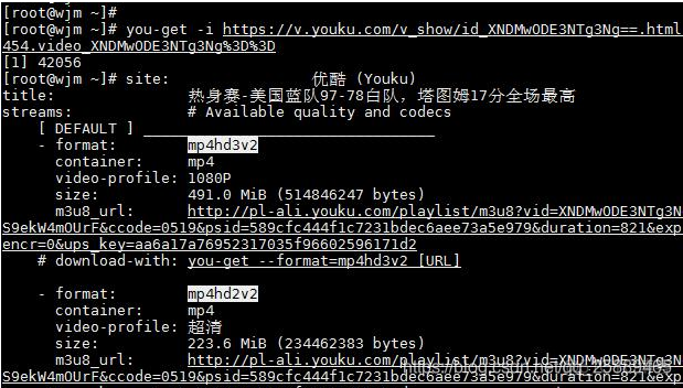 python 下载vip优酷视频 python爬取优酷视频_you-get_03