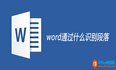 [word] word通过什么识别段落 word通过回车（enter）识别段落