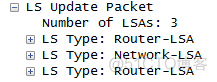 tcpdump 抓ospf报文 ospf抓包分析_抓包_20