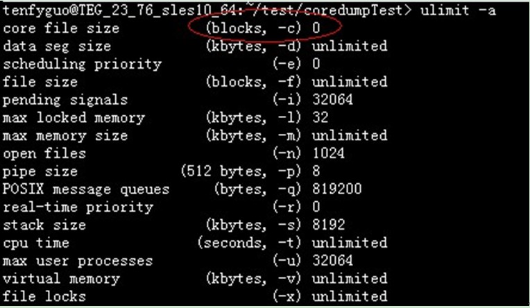 Core Temp官网 core temp中文版_内存管理_04