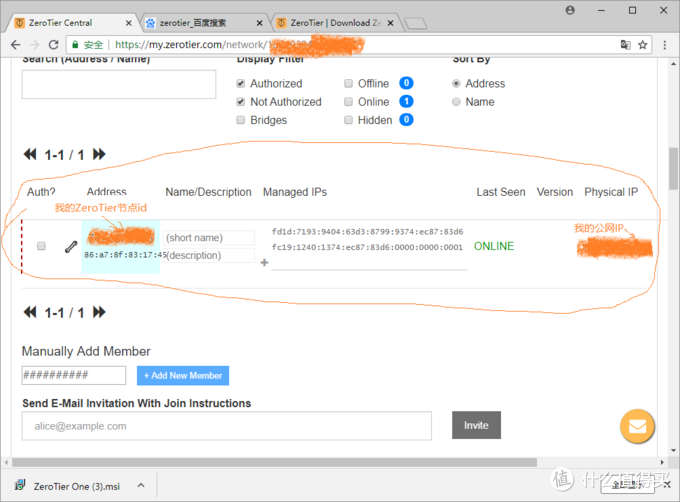 zerotier docker 搭建 zerotier one原理_IP_16