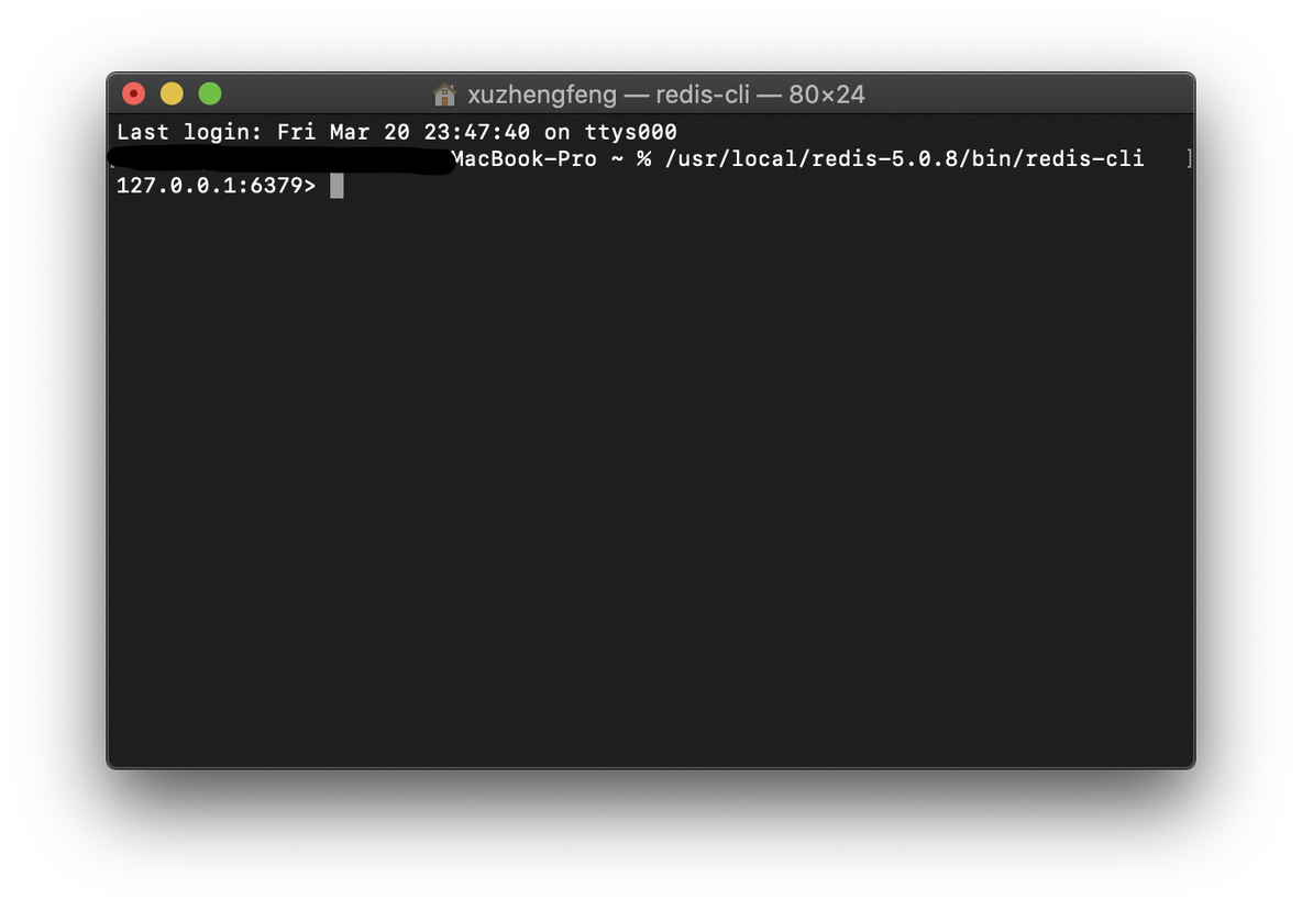 mac 安装 redis连接工具 mac配置redis_java_03