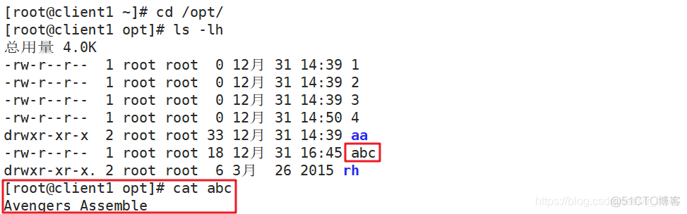 inotifywait监控文件 infinova监控_html_13