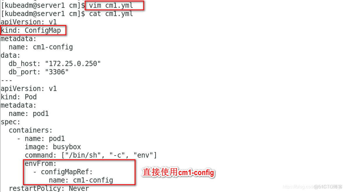 ConfigMap 可以作为数据卷挂载 config mapping_kubernetes_11