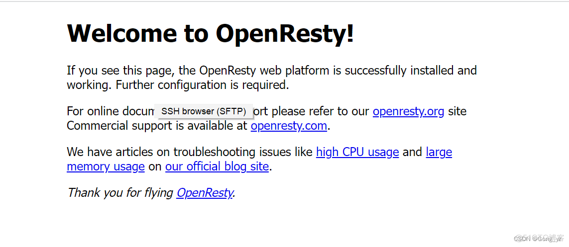 opencv可视化3d场景 openresty 可视化_nginx_02