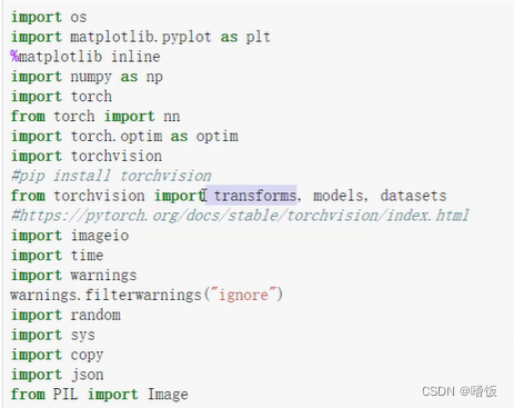 pytorch图片高清 pytorch 图片分类_pytorch_04