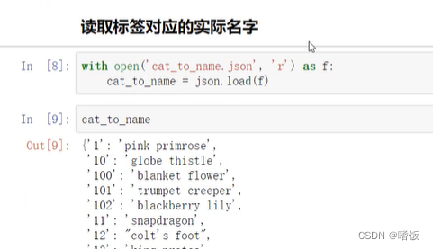 pytorch图片高清 pytorch 图片分类_深度学习_09