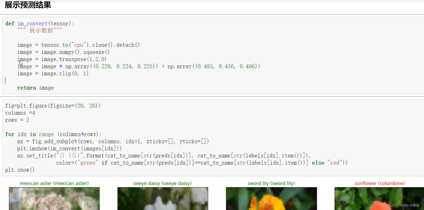 pytorch图片高清 pytorch 图片分类_分类_25