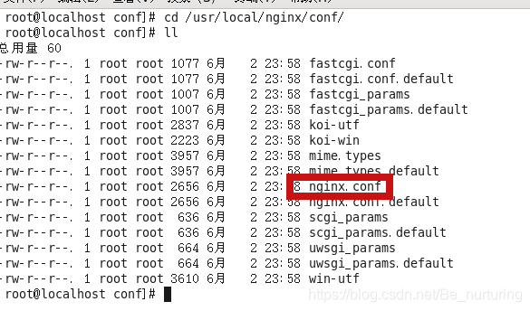 指定端口启动nginx 启动nginx指定配置文件_指定端口启动nginx