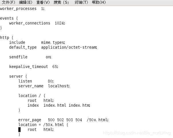 指定端口启动nginx 启动nginx指定配置文件_nginx_04