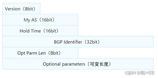 bgp路由Idle状态 bgp router id作用_字段_02