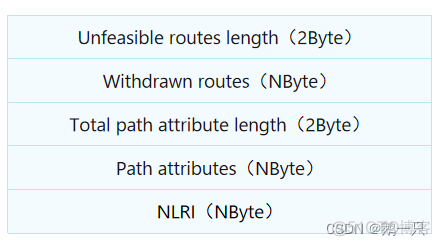 bgp路由Idle状态 bgp router id作用_字段_04