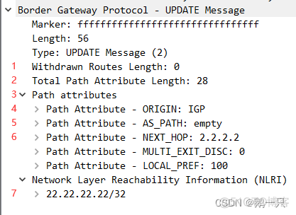 bgp路由Idle状态 bgp router id作用_网络基础进阶_05