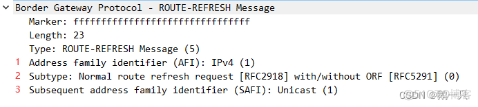 bgp路由Idle状态 bgp router id作用_网络基础进阶_11