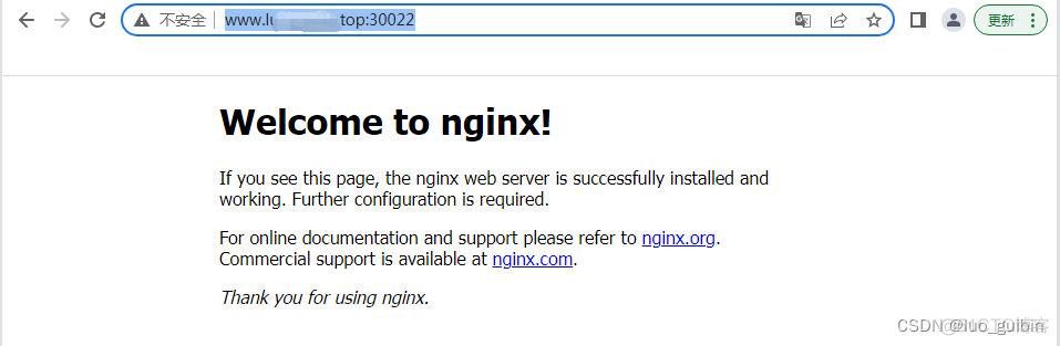 ingress安装配置 ingress部署_nginx_14