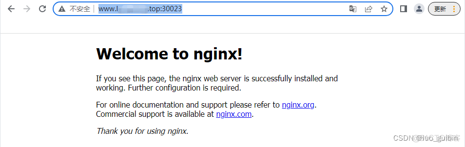 ingress安装配置 ingress部署_nginx_18