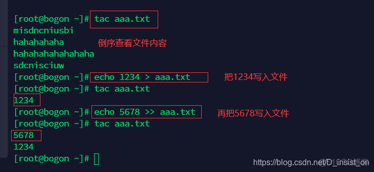 centos 将容器文件拷贝出来 centos 拷贝文件命令_centos 将容器文件拷贝出来_08