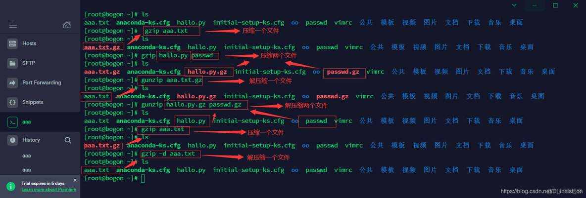 centos 将容器文件拷贝出来 centos 拷贝文件命令_centos_10