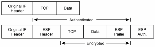 esp报文未用udp封装 esp报文格式_TCP_05