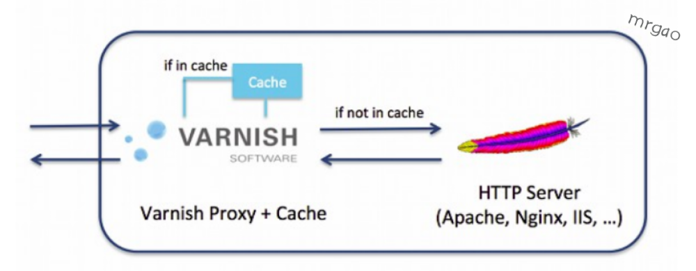 yarn init 缓存 varnish缓存_yarn init 缓存_02