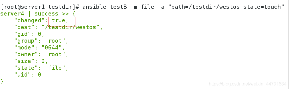 ansible怎么从其他主机拉取文件到本地 ansible 读取文件内容_文件拷贝_21