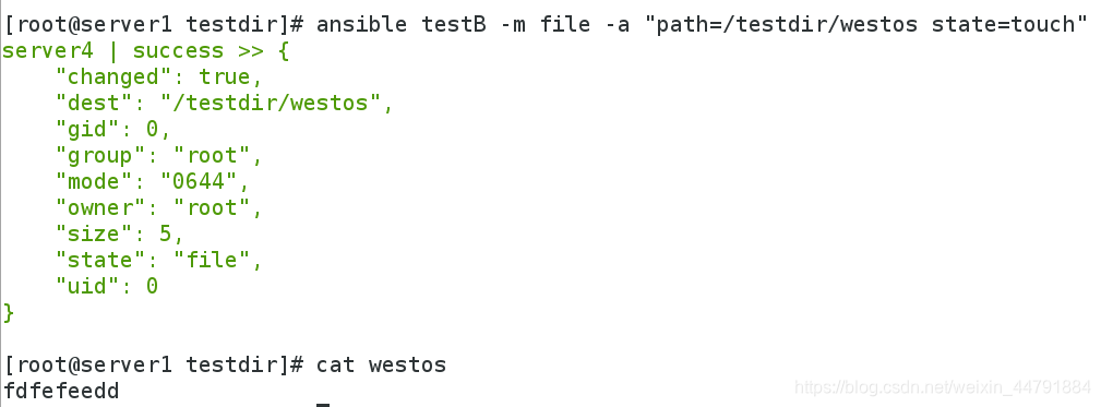 ansible怎么从其他主机拉取文件到本地 ansible 读取文件内容_文件权限_24