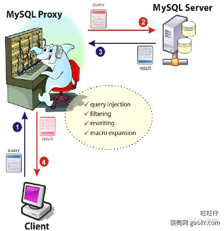 MySQL中间件Atlas mysql中间件有什么_数据库