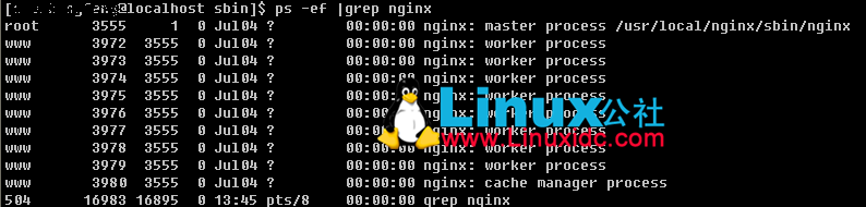 centos nginx 版本查看 nginx如何查看版本_linux