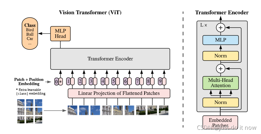 ViT和resnet viT和resnet参数_ViT和resnet_02