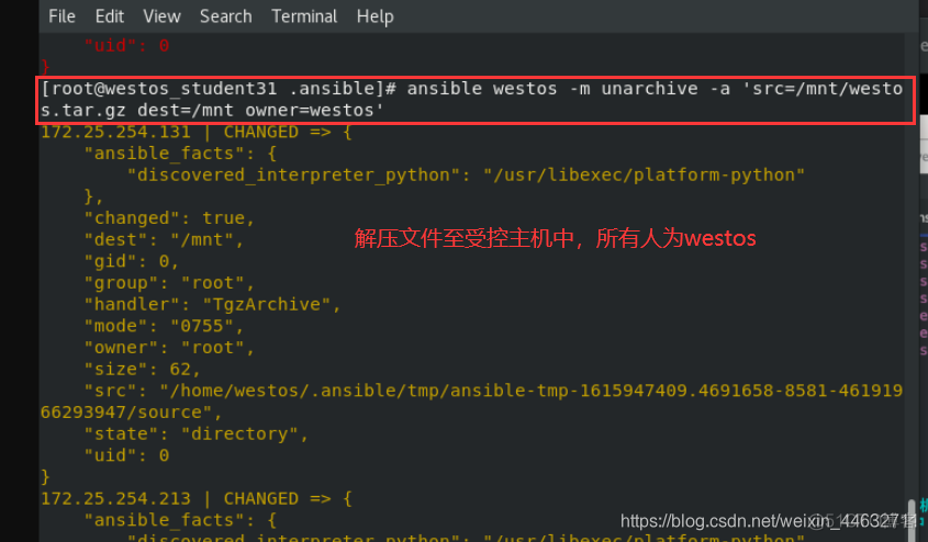 ansible synchronize 使用 ansibledoc_文件权限_63