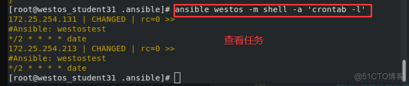 ansible synchronize 使用 ansibledoc_hive_71