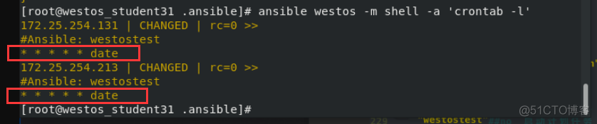 ansible synchronize 使用 ansibledoc_hive_75