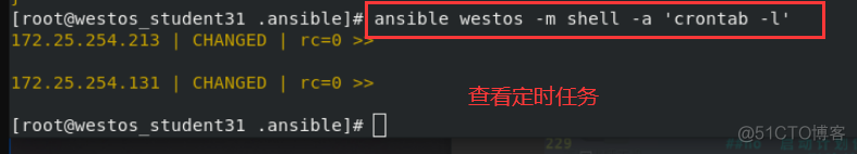 ansible synchronize 使用 ansibledoc_hive_77