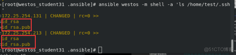 ansible synchronize 使用 ansibledoc_hive_99