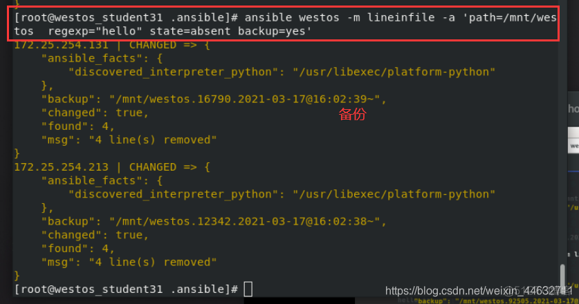 ansible synchronize 使用 ansibledoc_文件权限_114