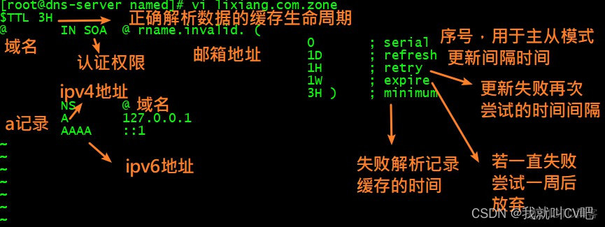 centos添加域名解析 centos 域名解析_centos添加域名解析_11