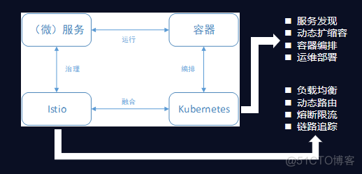 istio的效果 istio sni_服务治理_12