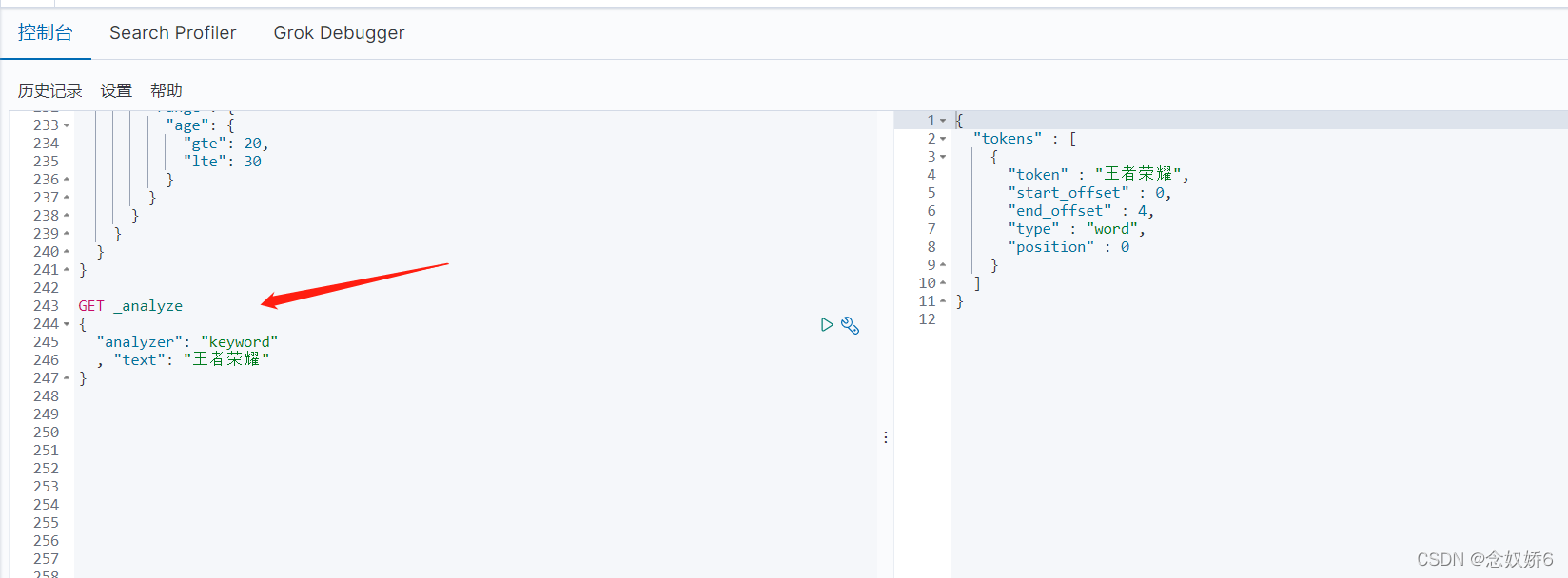 es text 大小写 分词 es如何分词_Kibana_19