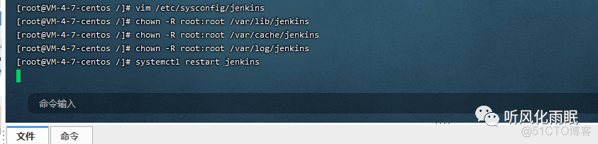 jenkins 启动 springBoot 时间太长 spring cloud jenkins_docker