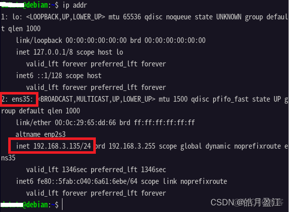 debian11安装nginx debian11安装ssh_服务器_06