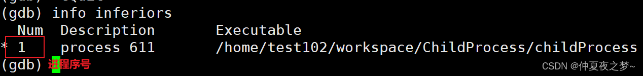 java 有gdb调试 gdb调试进程_父进程
