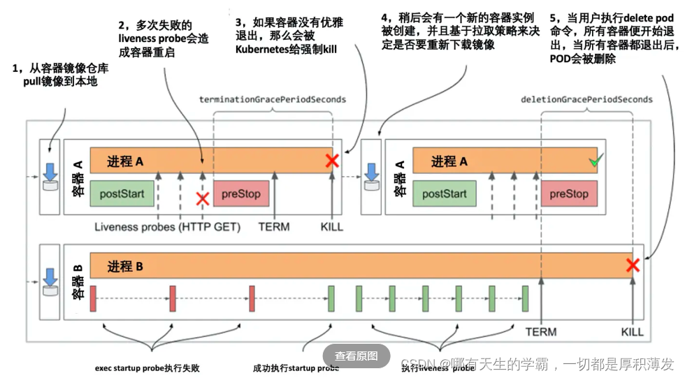 k8s 容器之间ping不通 k8s容器状态_kubernetes_08