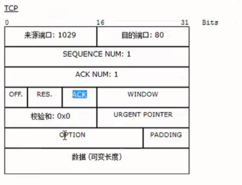 request 获取mac地址 http请求获取mac地址_服务端_05